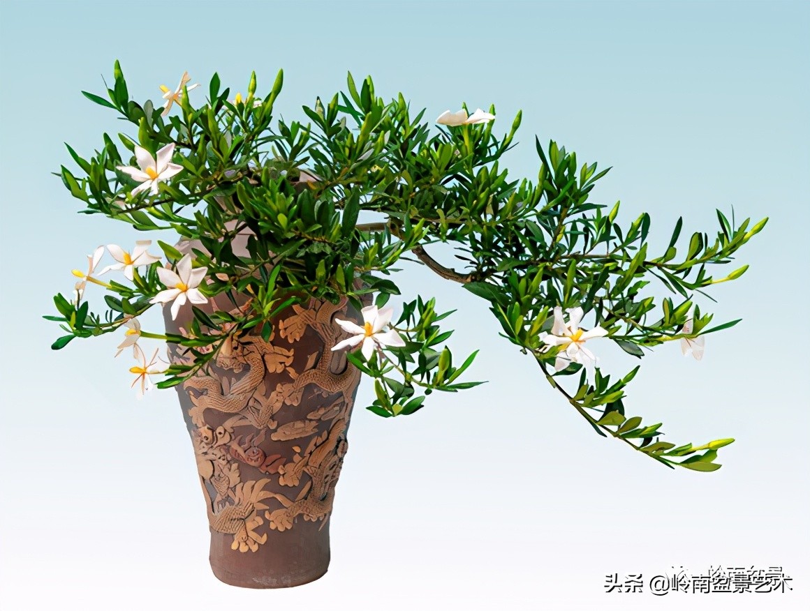 大师经典藏品,景德镇大师燕尾瓶价格