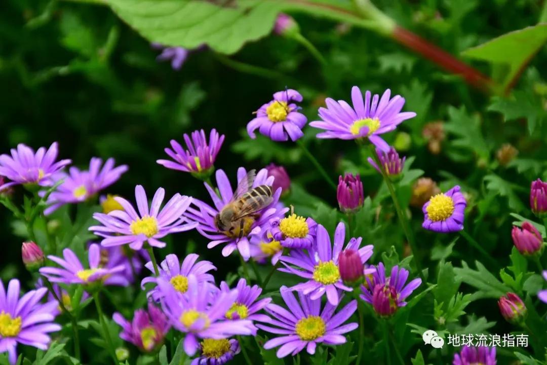 木里行迹——一团生的火焰,好过一千个死的灵魂