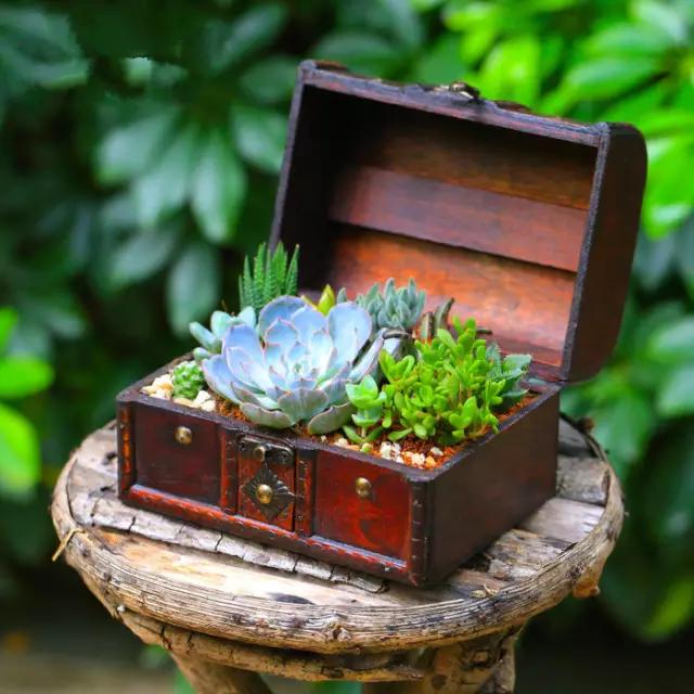 家里花瓶插花放点什么,创意养花花瓶