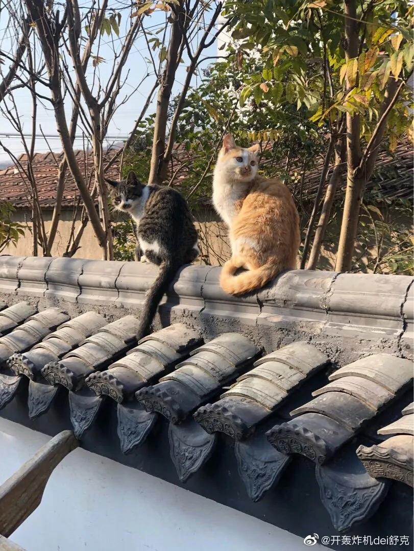 意境钢笔水彩画步骤,钢笔水彩画临摹简单入门