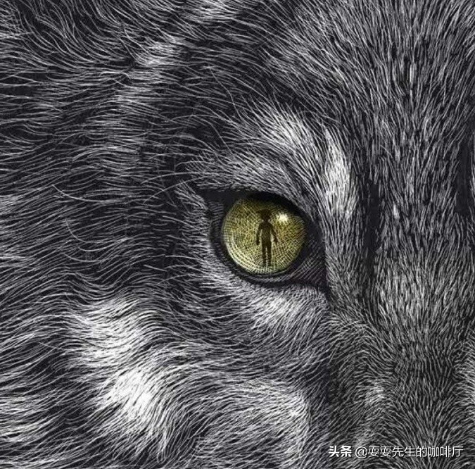 工作环境重要还是工作内容重要,工作环境对工作的影响