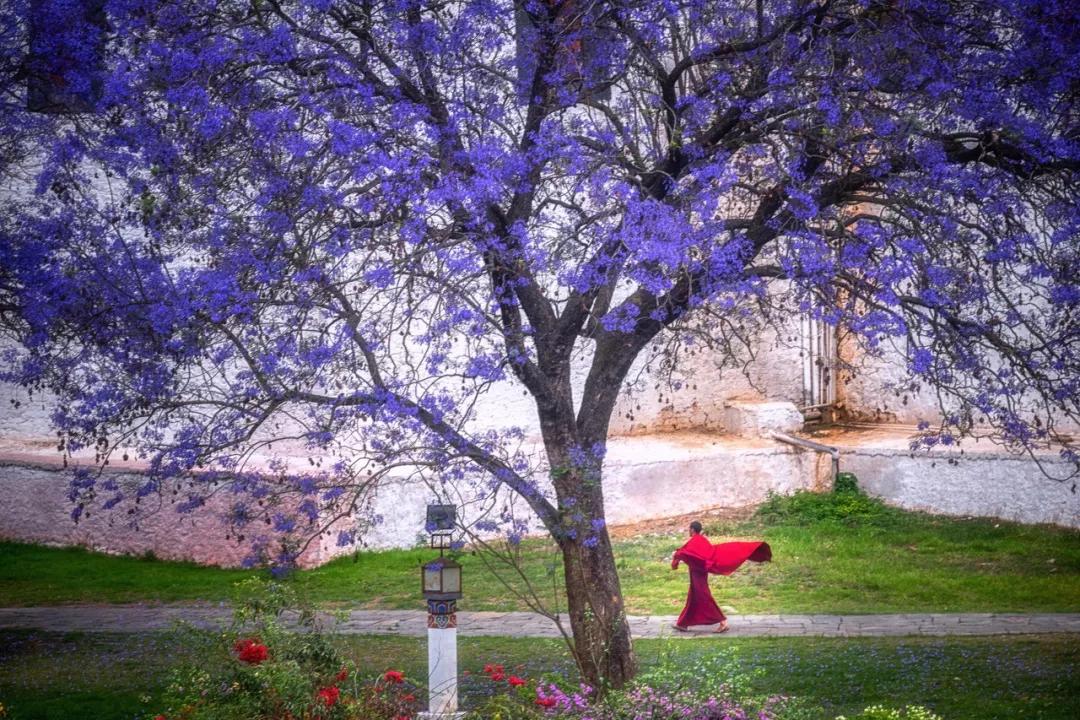 中国至今没被认全的20个邻居，个个身怀宝藏，你知道几个？