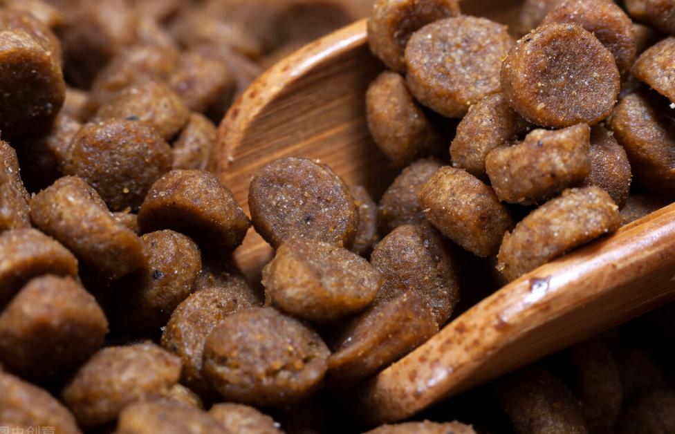 如何挑选一款好的狗粮,如何选择一款优质的狗粮