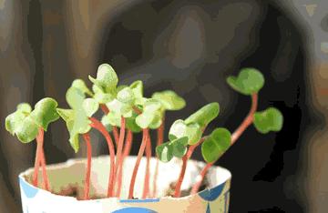 你身边的五种一级致癌物,每一个人的家中什么地方污染最重