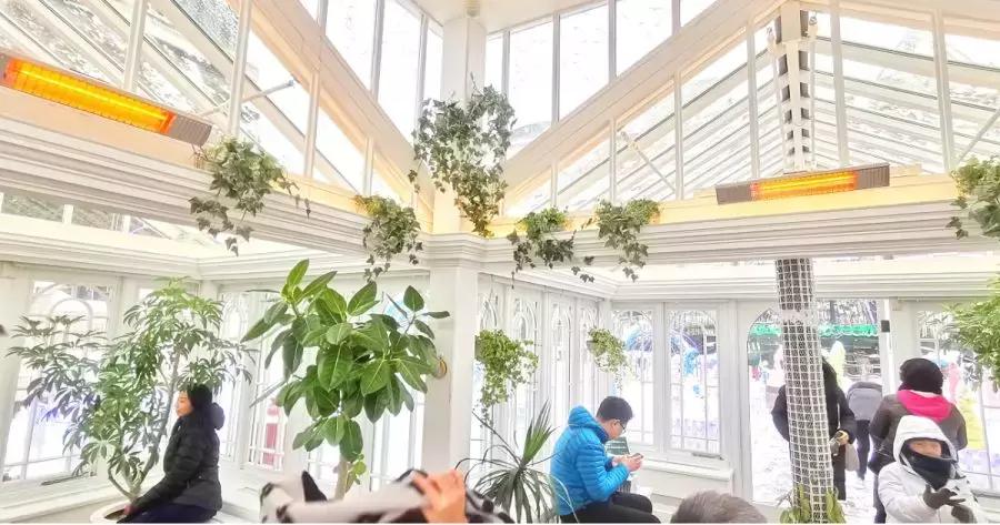 上海雪乡五日游攻略,日本雪乡一日游多少钱