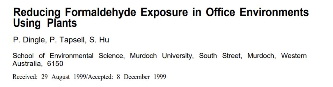 新房除甲醛最好的植物测评,去甲醛排行榜第一名植物除甲醛