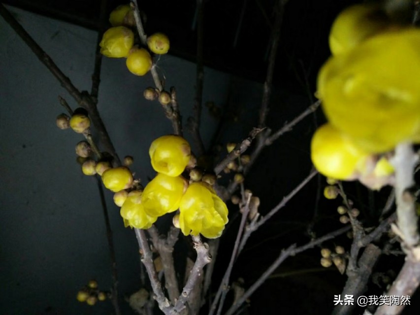 面瘫患者的康复日记,我的面瘫日记全集