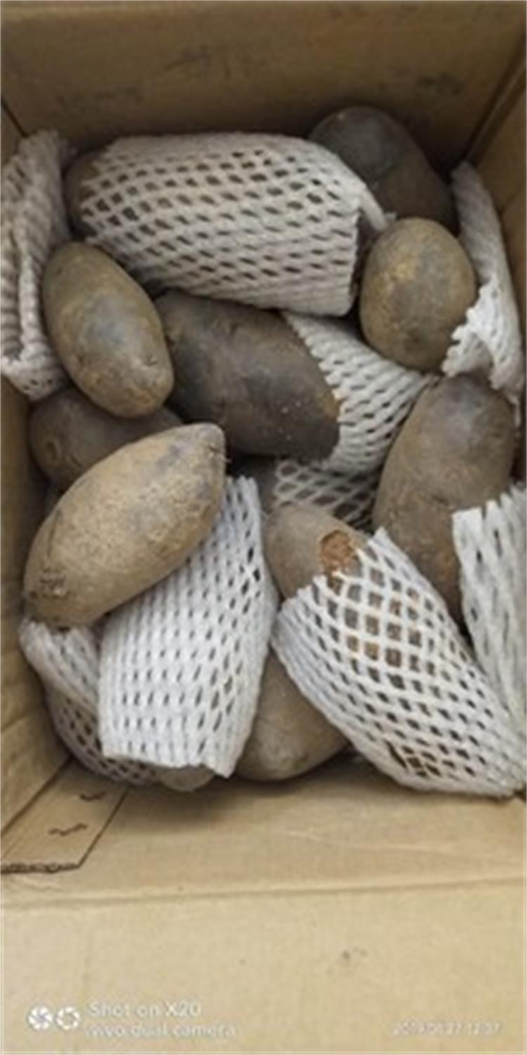 买整箱土豆,正宗本土黑土豆