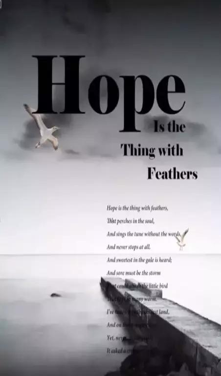 平衡页面布局制作,怎么让页面设计更高级