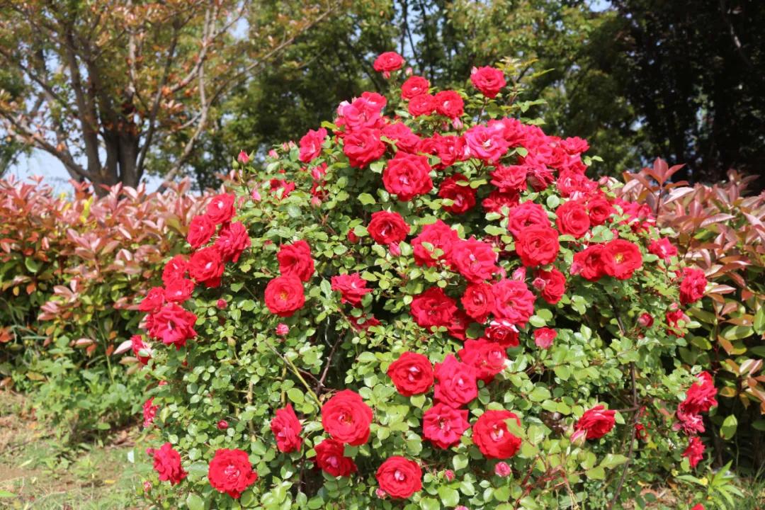 5.17遇见Ta在一起|这里有个不一样的脱单机会,速来~