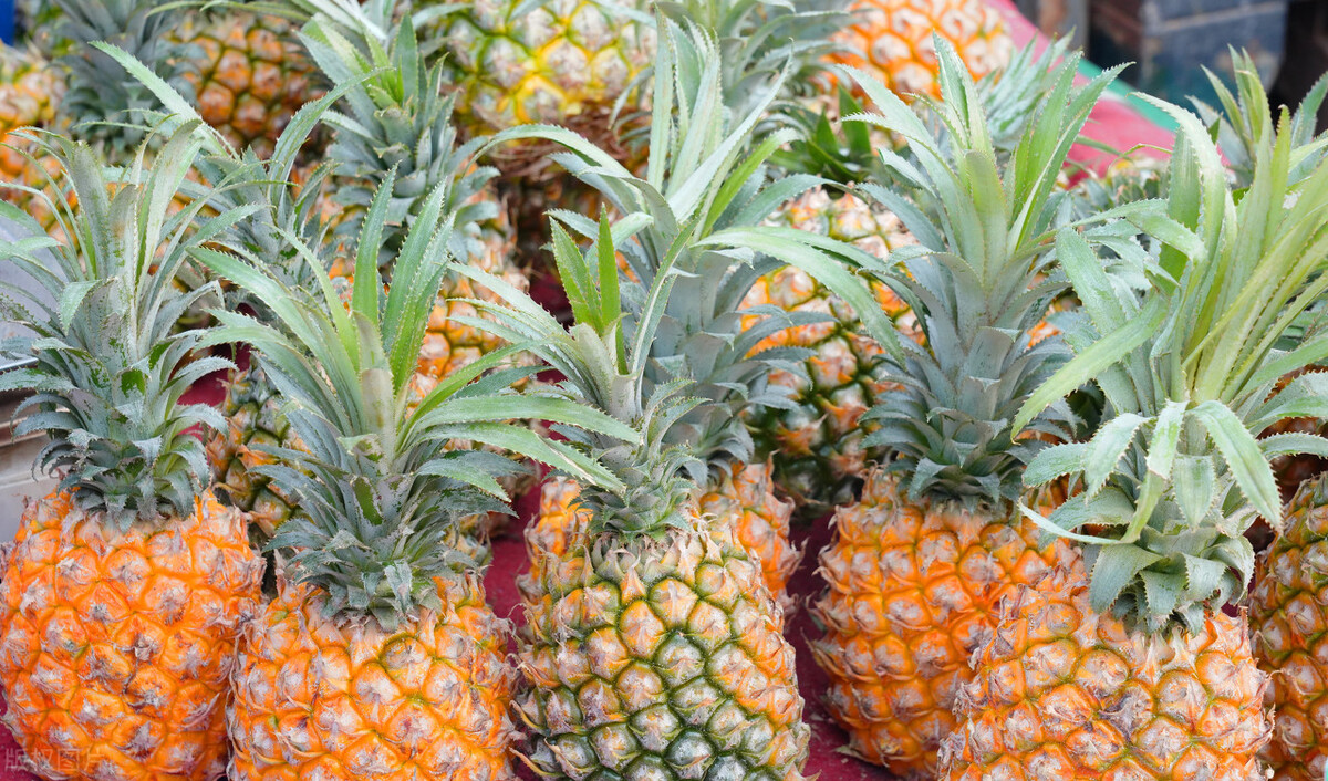 挑选菠萝什么样的又甜又好吃,怎么挑选菠萝又甜又不涩口