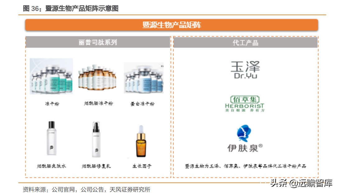 重组胶原蛋白未来趋势,胶原蛋白重组是高端产业吗