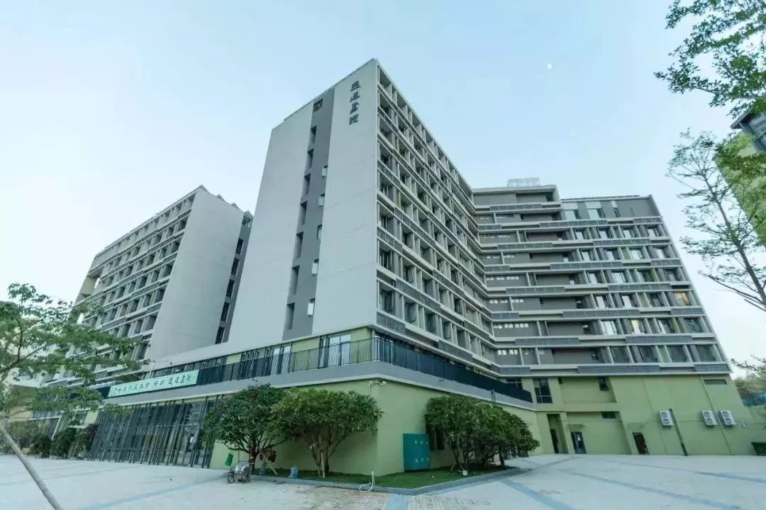 港中大深圳好申请吗,港中深深圳本科深造率