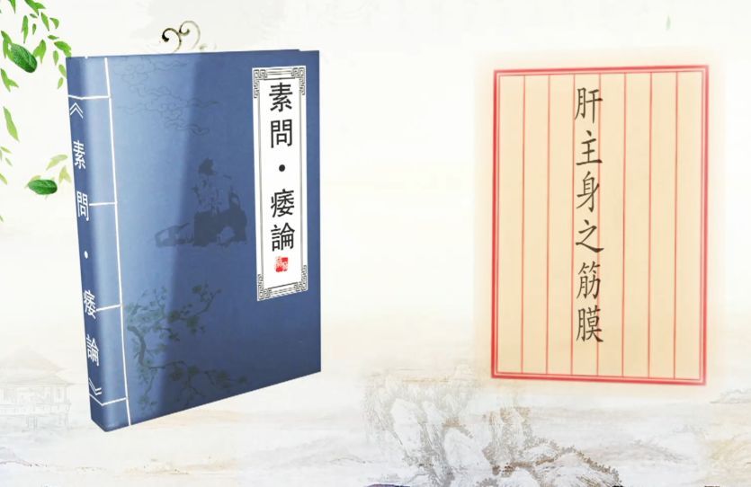 春天睡前吃什么汤养肝护肝,春天调理肝喝什么炖汤