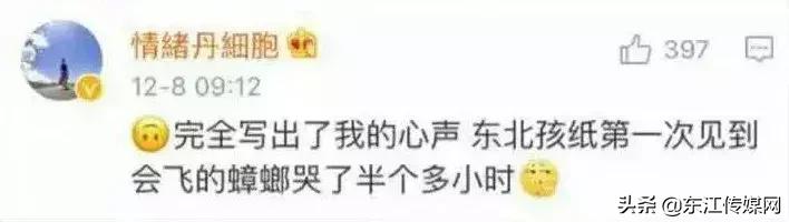 夏天最爱登门拜访惠州人的虫子，满屏全都是惊吓