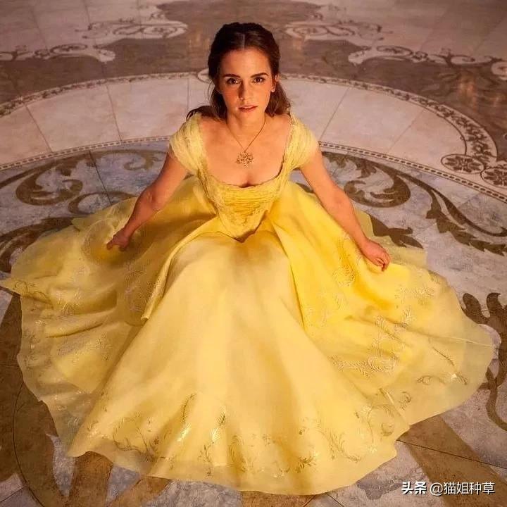 穿出奥斯卡复古名媛感,《小妇人》的设计美学超好用