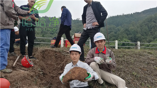 重庆公园白蚁防治哪家专业,重庆白蚁防治中心电话