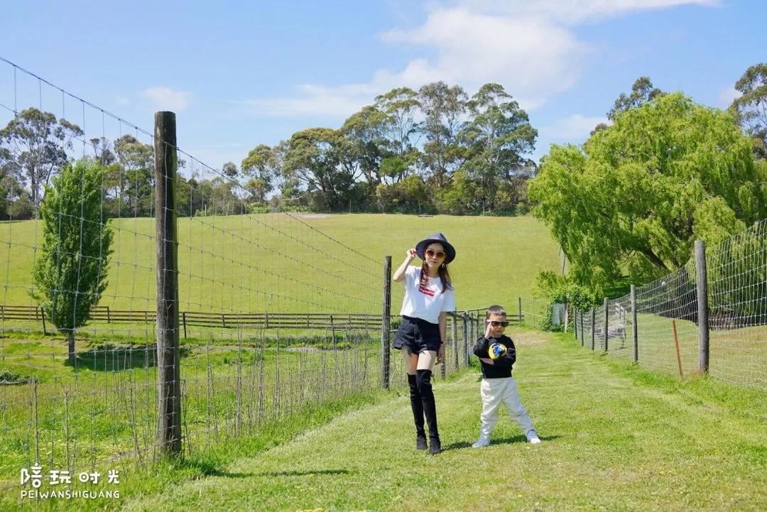 糕妈推荐新年衣服,糕妈推荐的老爹鞋