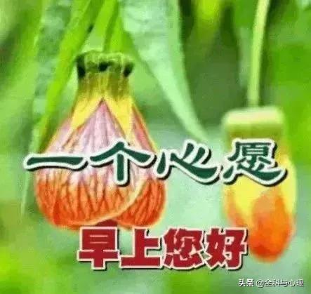 早上好表情早上好问候,早上好动态表情图片大全最新版