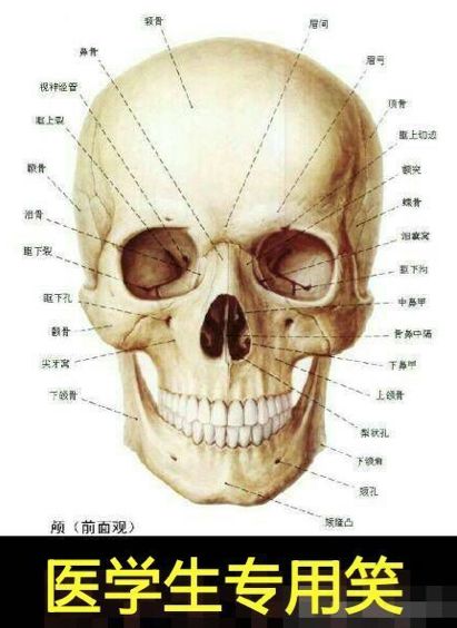 远离学医的女生,女朋友是学医的不要招惹她