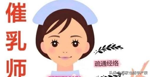 石头奶什么时候可以正常下奶,涨奶变成石头奶怎么破