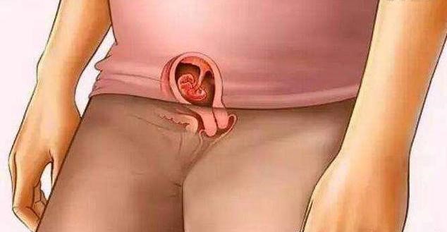 十月怀胎胎儿,一到十月胎儿变化图