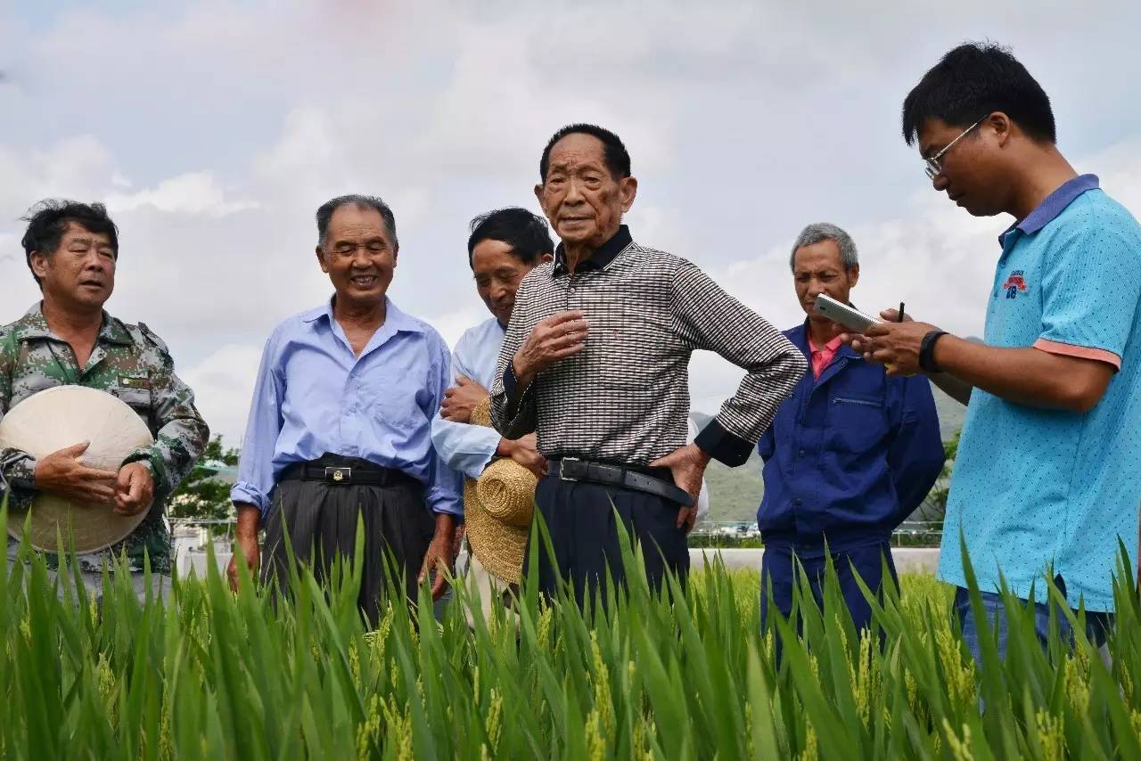 袁隆平突破作文素材,袁隆平高考作文人物素材