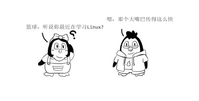 Linux是怎样工作的,linux是怎么发版的
