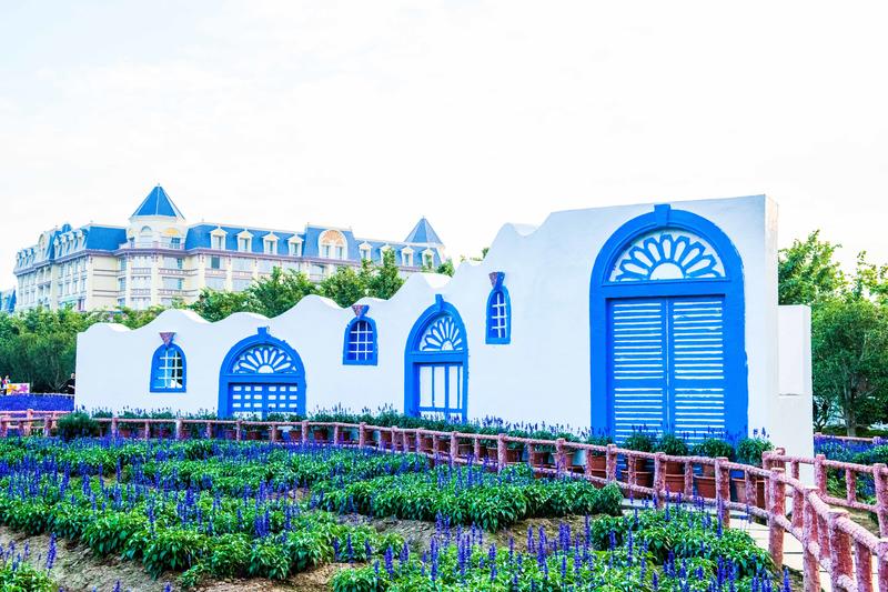 你知道广州有个百万葵园吗?四季都繁花似锦,景色让人流连忘返