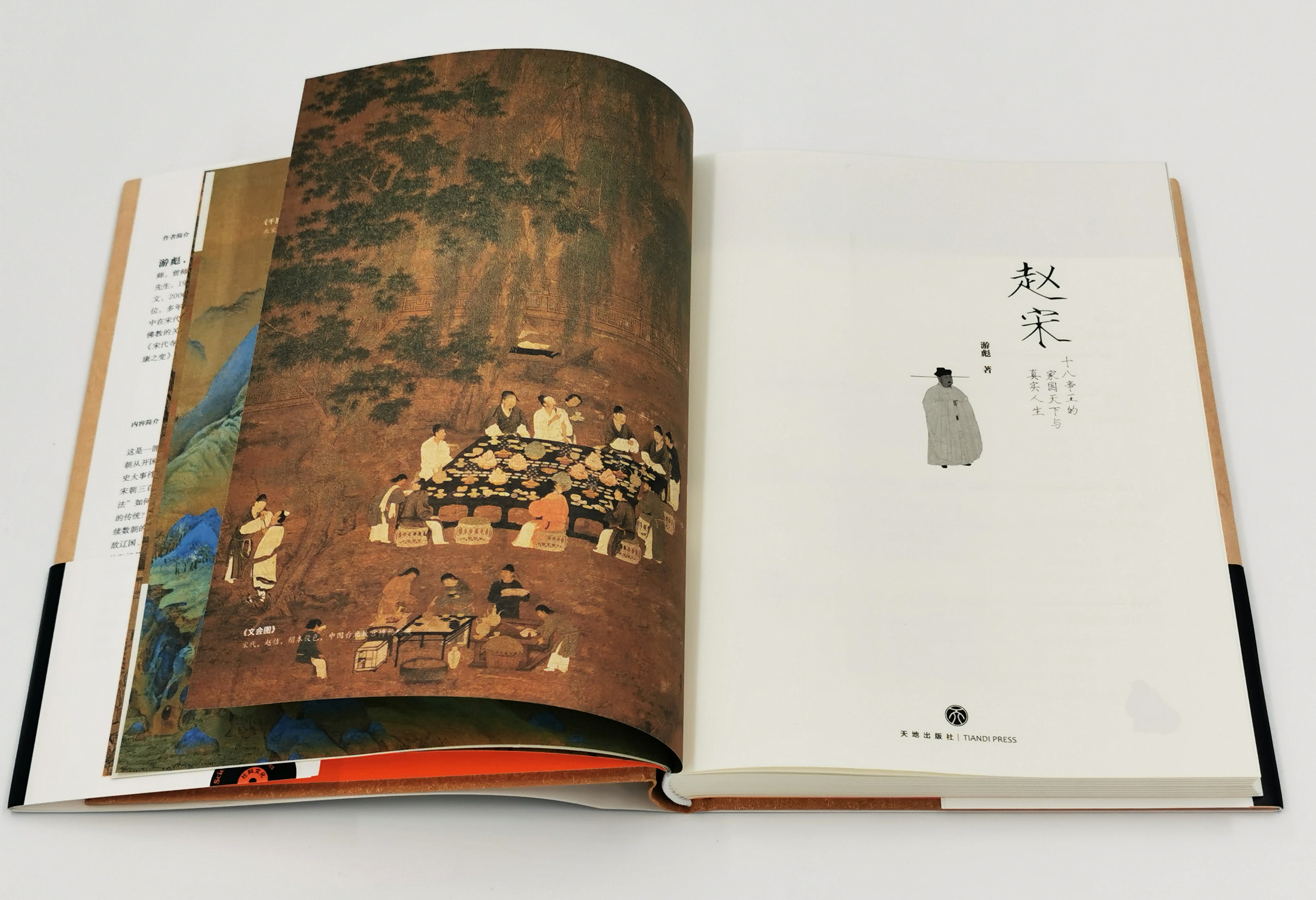 好书推荐辛弃疾传,宋史赵宋