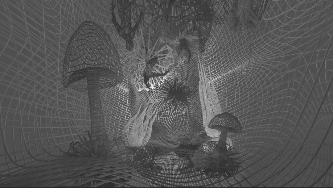 fashionzoo探店,2019fashionzoo时髦圈