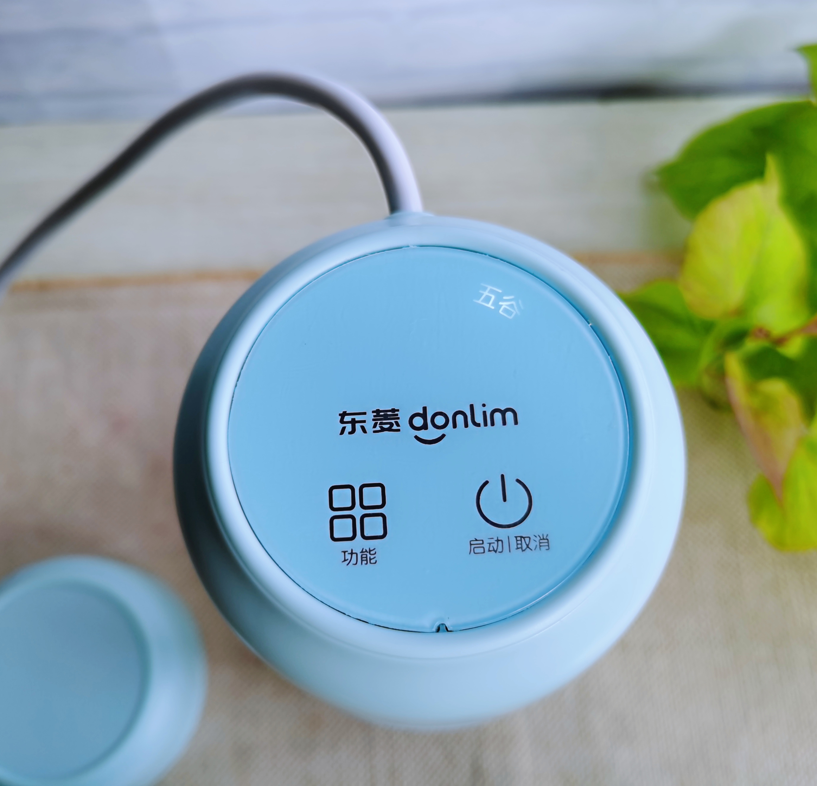 这个网红全能小杯一键搞定红枣豆米糊，开盖即饮，一杯元气满满