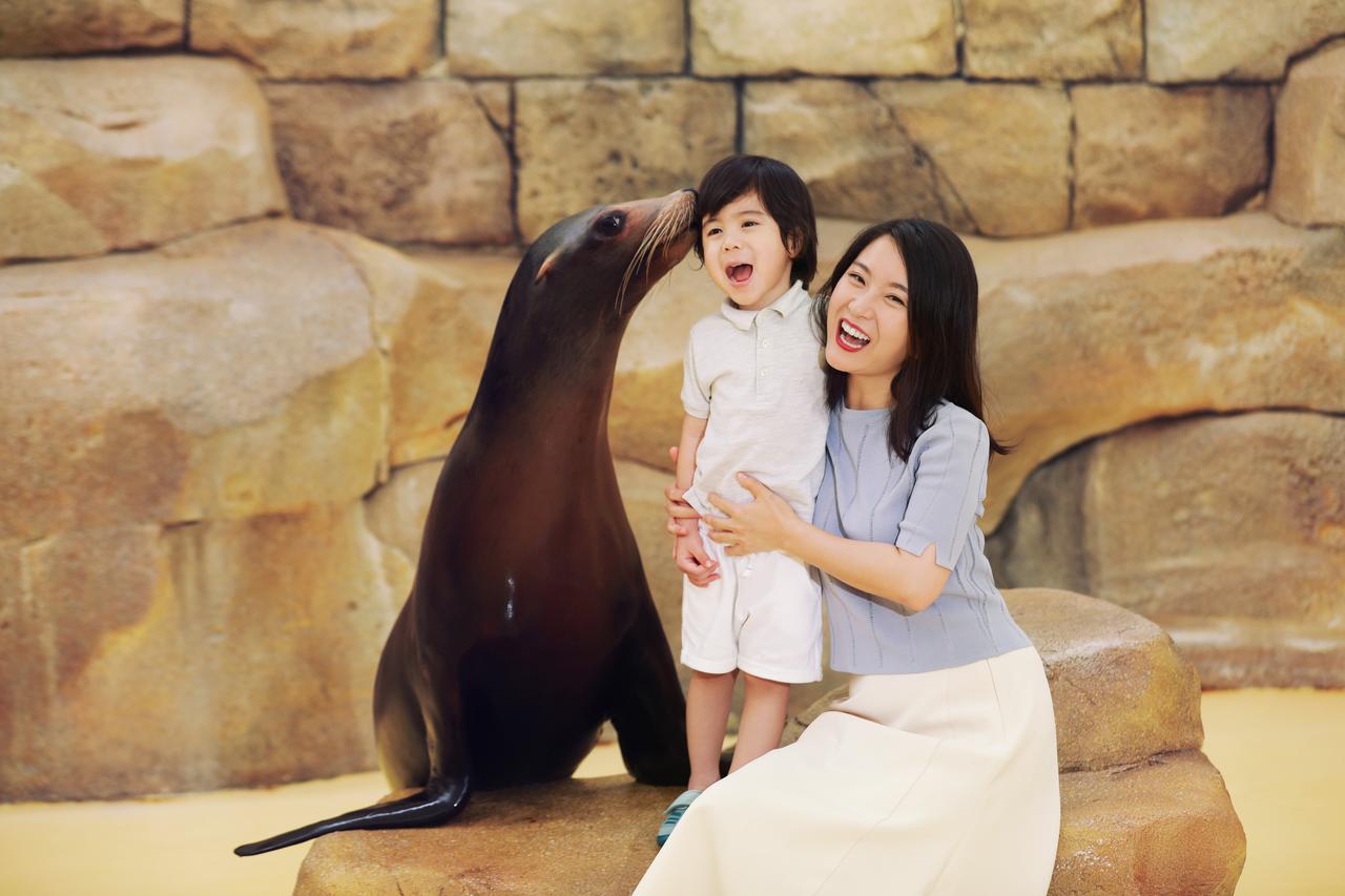 三亚亚龙湾亲子酒店最强攻略,三亚最顶级的酒店排名第一