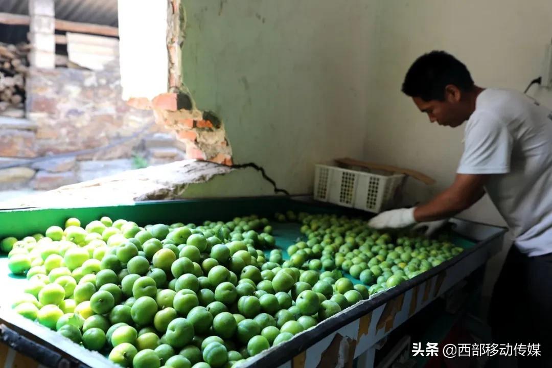 元江凉拌炸洋芋,云南拌水果怎么拌