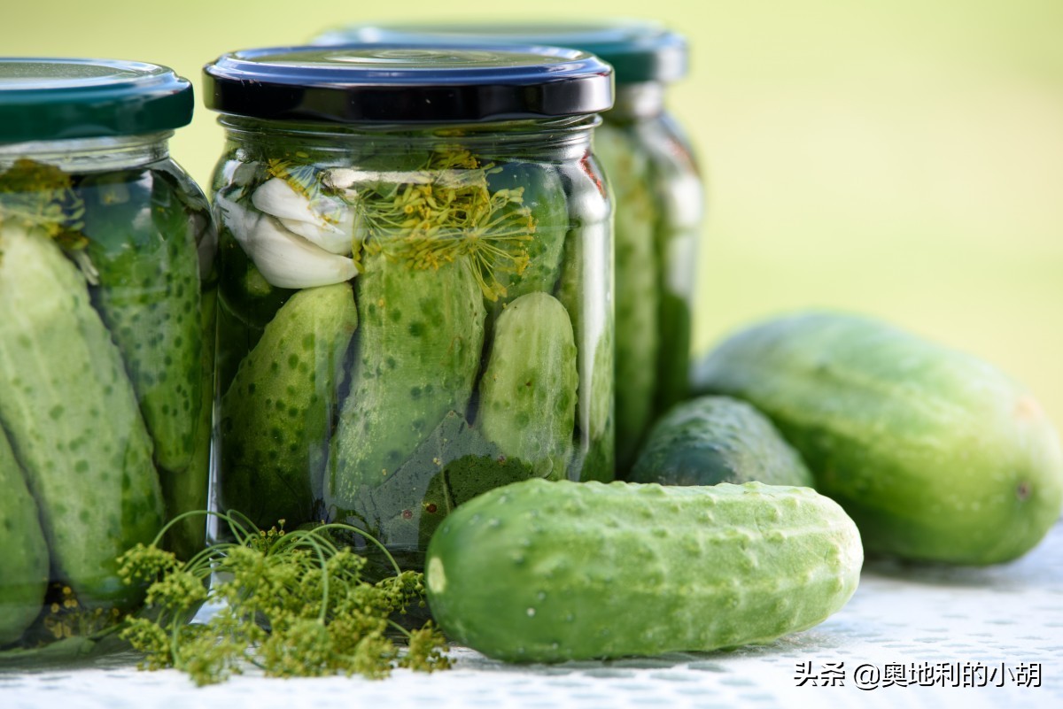 德国泡菜各种吃法,外国人吃酸黄瓜中文版
