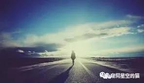 文学已死原文,文学已死是什么意思