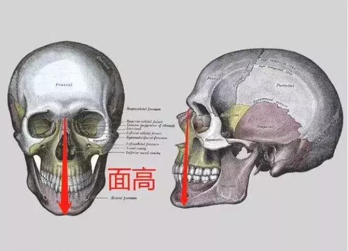 芜湖哪家ktv女孩颜值高,中国哪个省的女孩漂亮的多