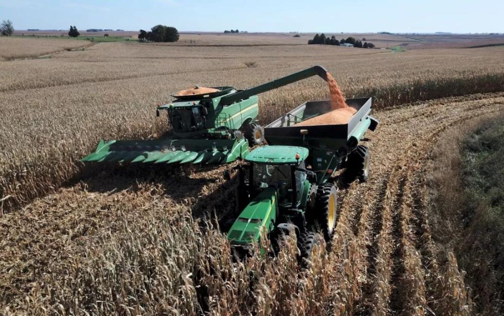 美国人贫穷为什么会胖,美国人为什么越吃越胖