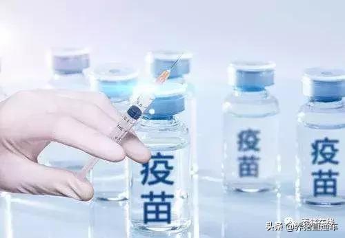 疫苗补种技巧视频,养殖户自购疫苗注意事项