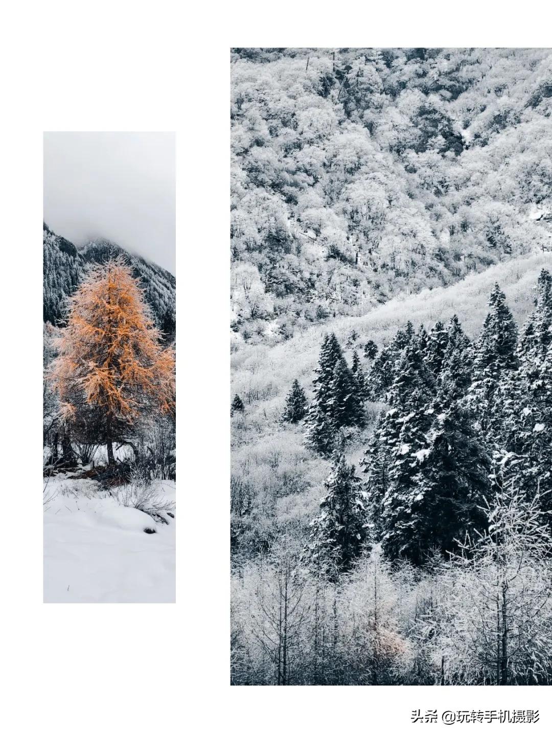 朋友圈经常晒图怎么回事,朋友圈里晒图