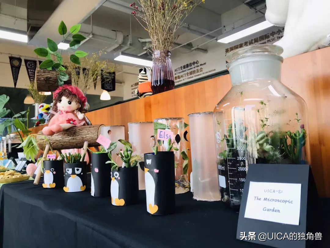 希望每一个孩子眼里都有光的成长,孩子在长大自己在成长