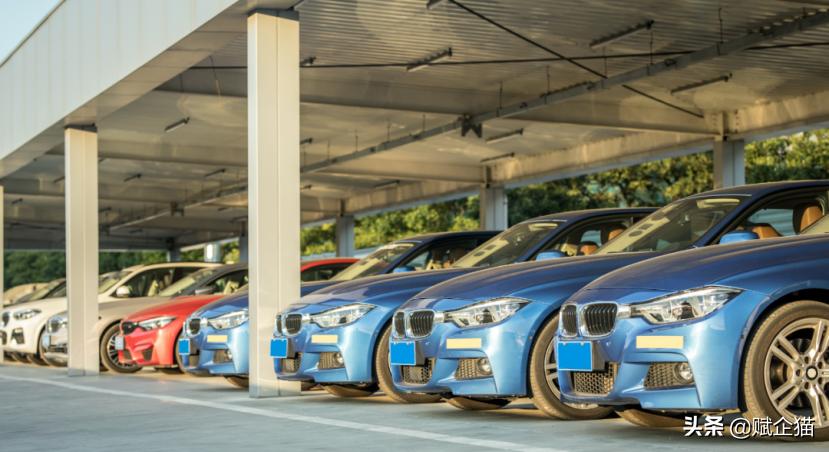 赋企猫官网,赋企猫平台