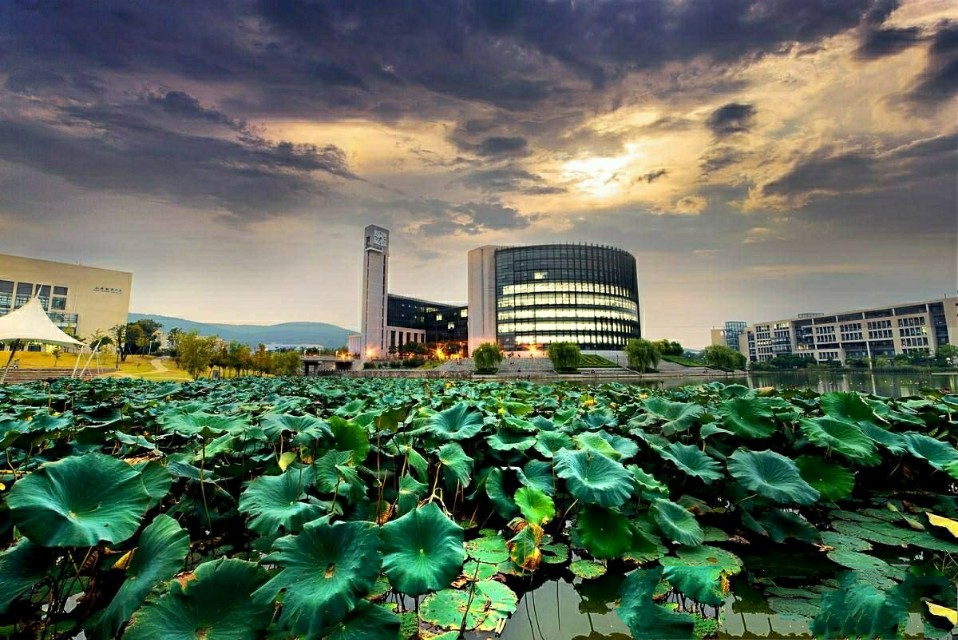 这所位于徐州的部属“国字号”大学知名度低，校园却美到不可胜收