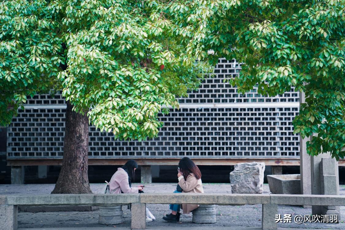 苏州，被忽视的一座养老宜居地，很多人“逃离”一线城市来此生活