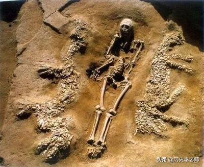 古代真有人吃过龙吗,古代中国真的存在过龙这种生物吗