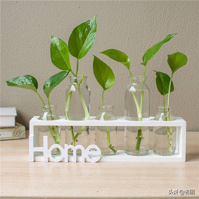 如何选择家居装饰品,都有哪些种类,具体什么功能