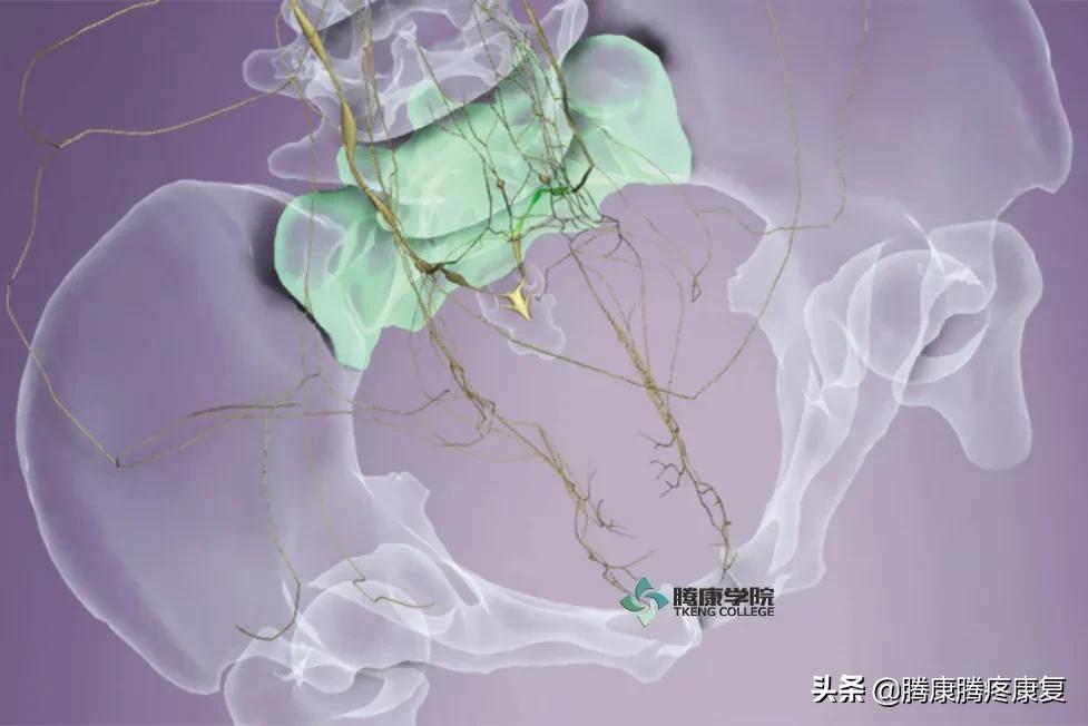 骶骨疼痛手法处理,骶骨后翘正骨手法