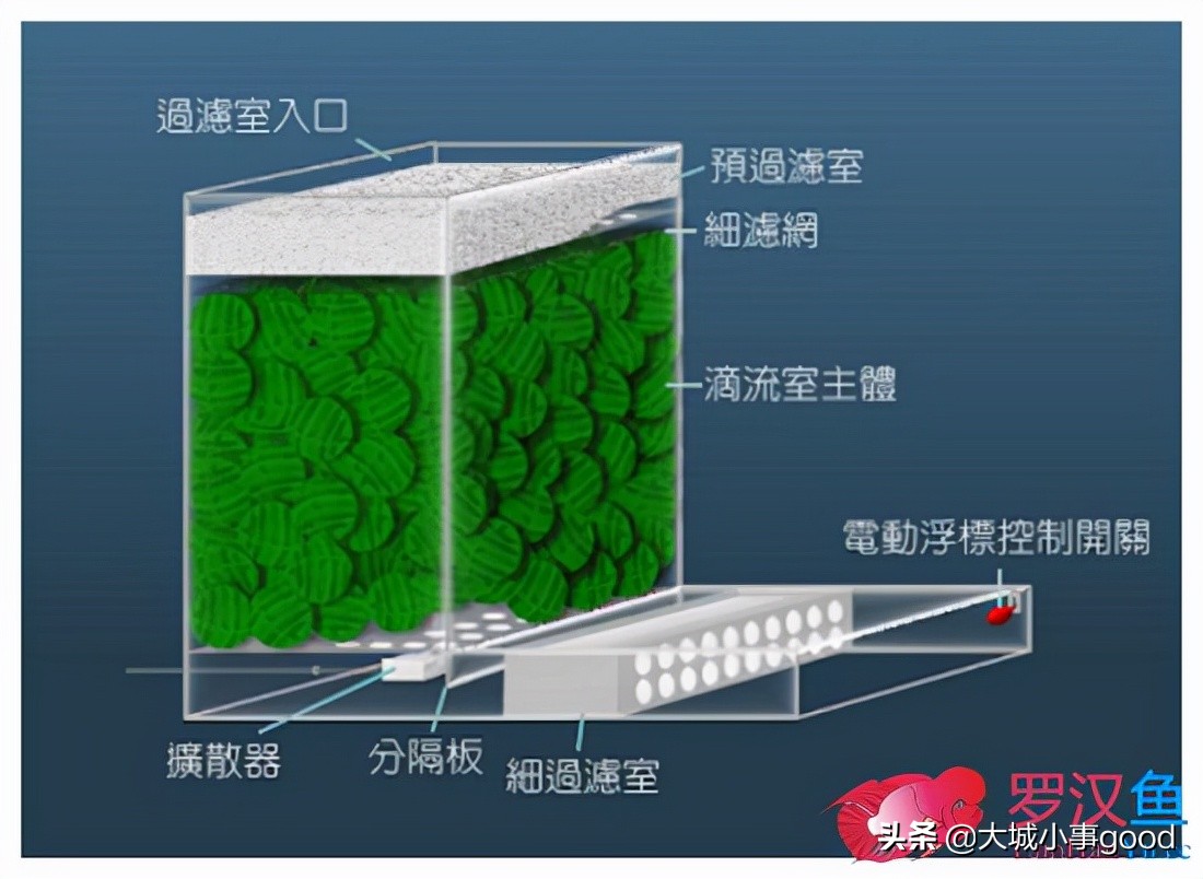 鱼缸过滤系统的基础解析,鱼缸过滤桶过滤原理