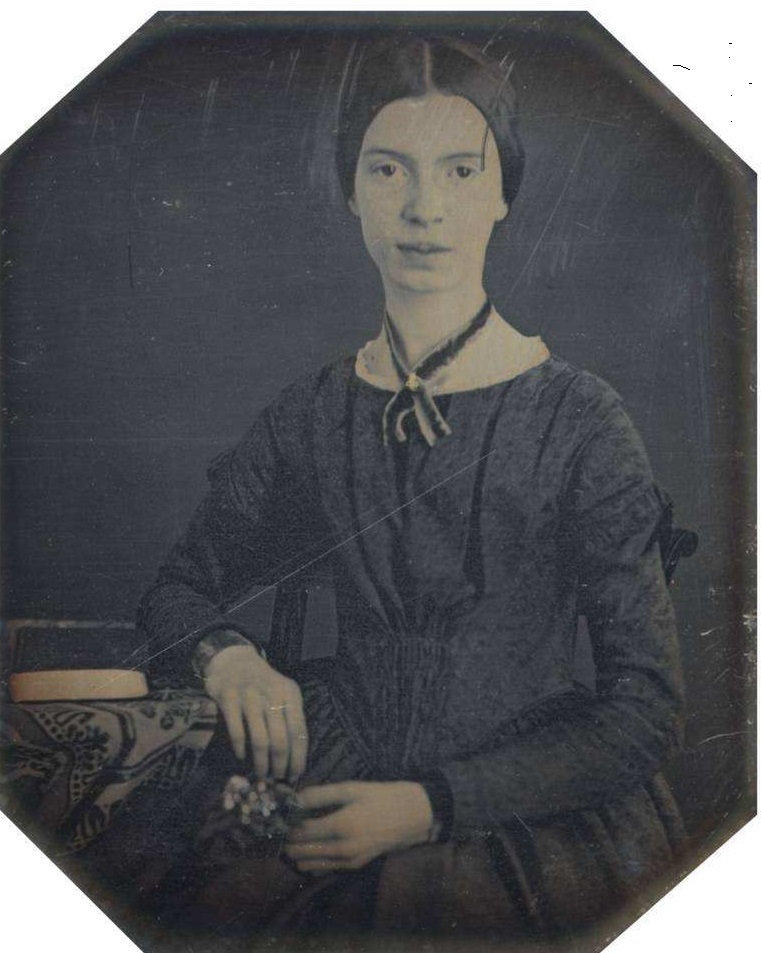 艾米莉狄金森十首诗原文,艾米莉狄金森经典诗