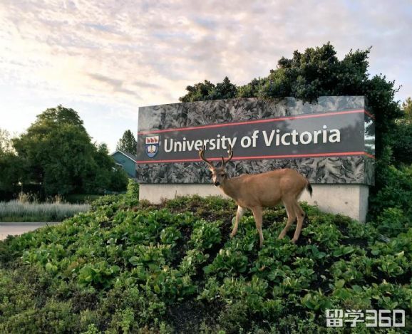 为什么去加拿大维多利亚大学
